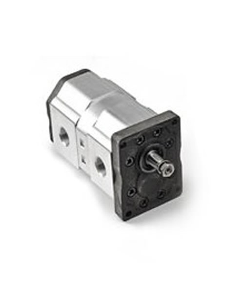 OT 303 SERİSİ D-P 38-P3 MİL VE KAPAK TİPLİ DİŞLİ POMPALAR