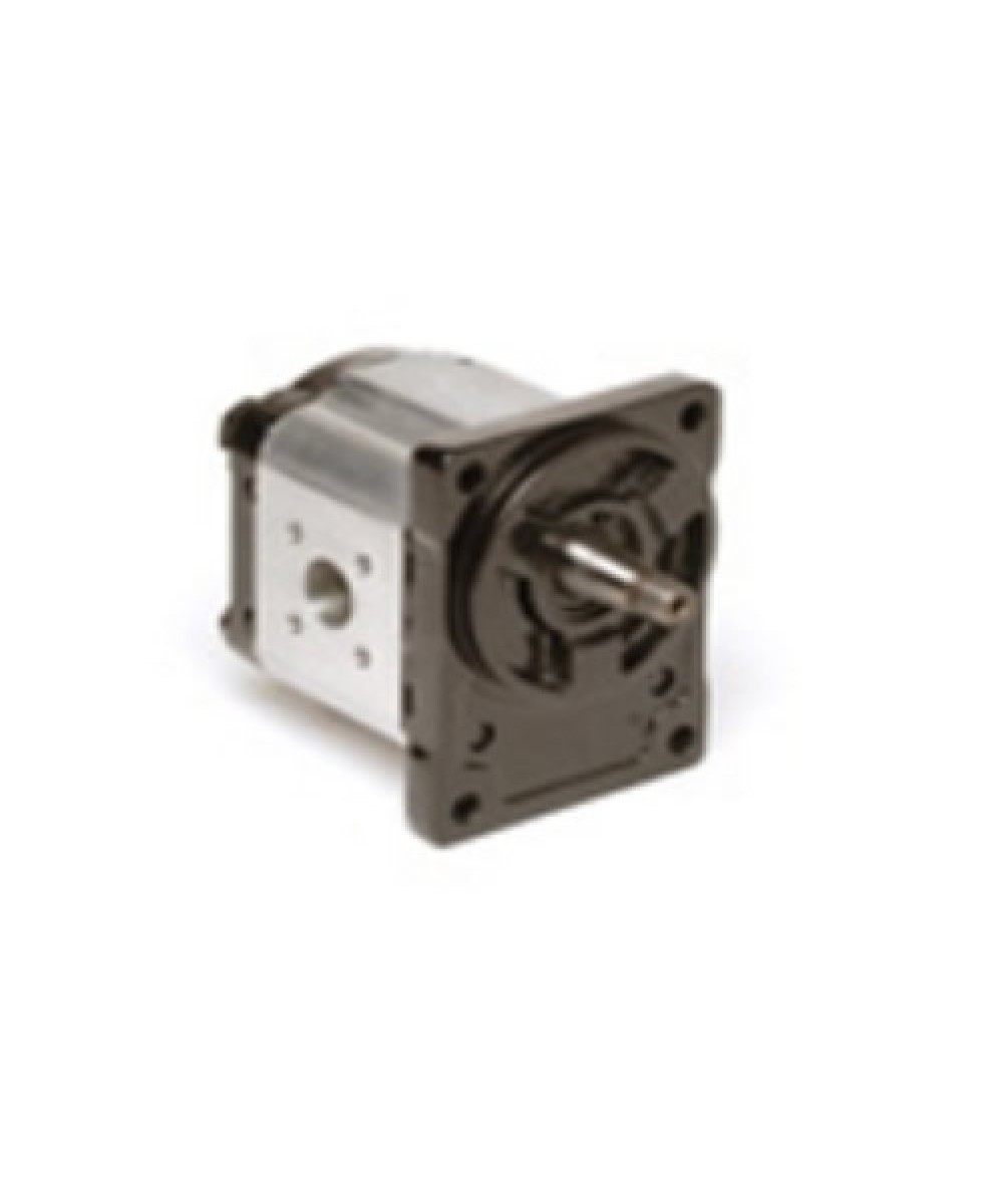 OT 200 SERİSİ D-P 21-S2 MİL VE KAPAK TİPLİ DİŞLİ POMPALAR